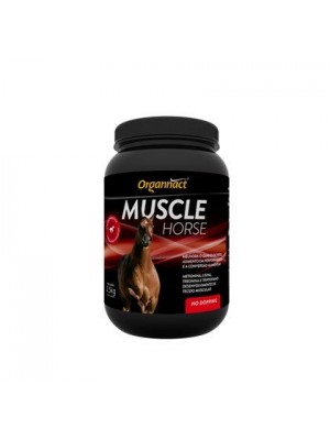 MUSCLE HORSE 2,5kg.